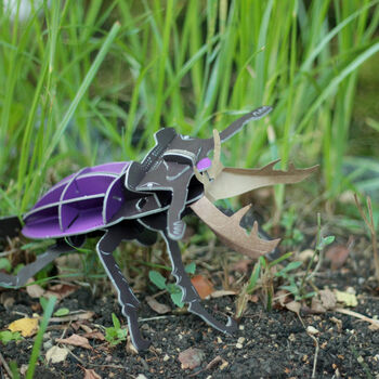 Build Your Own Personalised Stag Beetle, 4 of 9