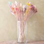 Bright Pastels Dried Flower Bouquet, thumbnail 3 of 8