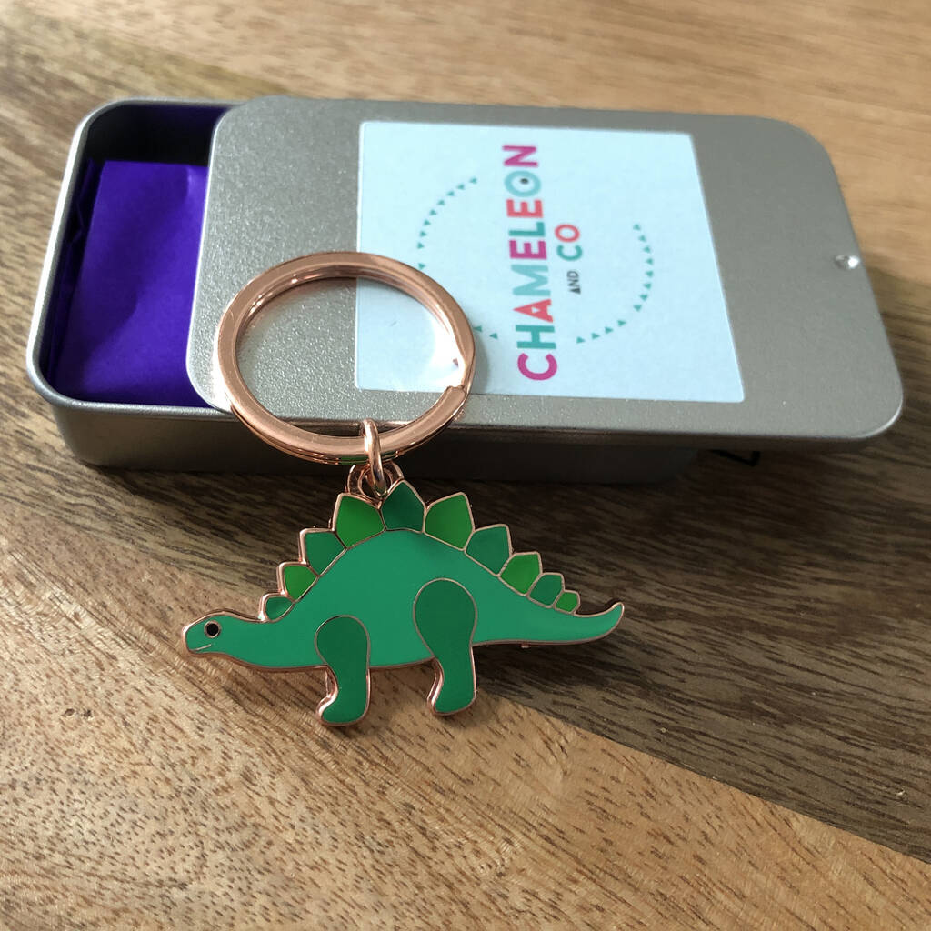 Stegosaurus Keyring Gift For Dinosaur Lover By Chameleon and Co ...