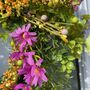 Large Colourful Summertime Floral Wreath, thumbnail 6 of 8
