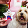 Personalised Pet Portrait Christmas Hanging Decoration, thumbnail 12 of 12