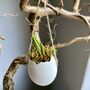 Hanging Eggs Filled With Muscari, thumbnail 6 of 8