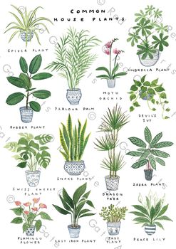 'House Plants' Art Print, 6 of 7