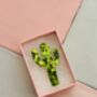 The 'Desert Sparkle' Cactus Glitter Brooch / Botanical Gift For Her /Green Succulent Brooch / Birthday Gift For Plant Lovers, thumbnail 5 of 6