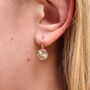 Silver Or Gold Crystal Celestial Disc Hoop Earrings, thumbnail 3 of 8