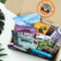 Mini Snack Box With Over 12 Premium Healthy Snacks, thumbnail 2 of 12
