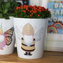 Personalised Grow Your Own Bee Gnome Garden, thumbnail 1 of 3