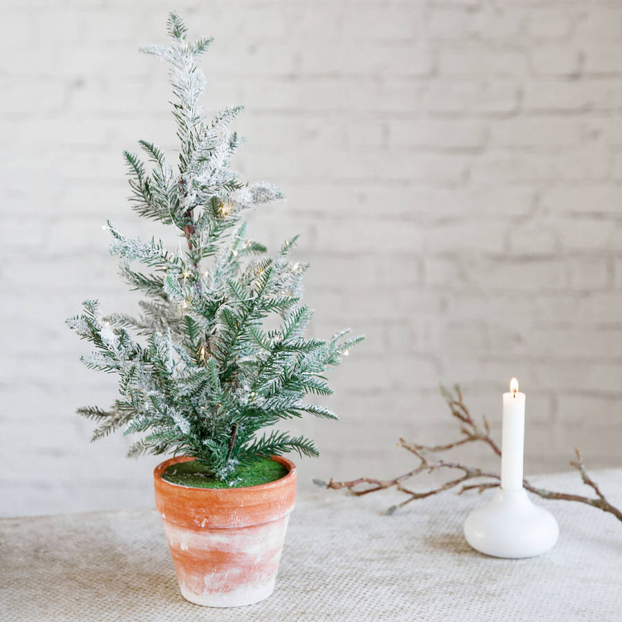 christmas tree icy by idyll home | notonthehighstreet.com