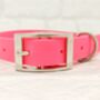 Waterproof Dog Collar And Lead Set Neon Pink, thumbnail 2 of 3