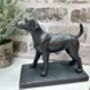 Set Of Two Bronzed Dog Bookends – Labrador And Spaniel, thumbnail 4 of 12