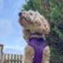 Royal Purple Patch Dog Collar, thumbnail 6 of 6