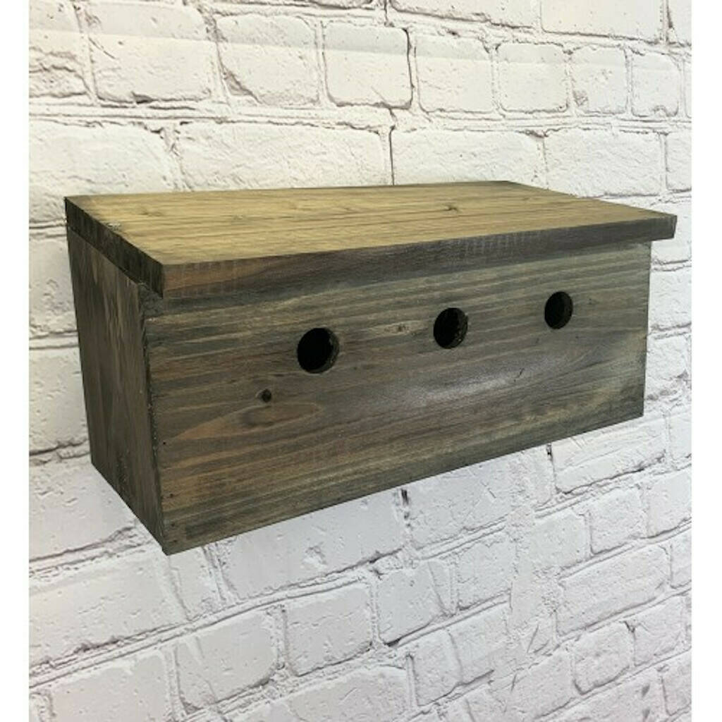 Sparrow Colony Wooden Nesting Box By Garden Selections ...