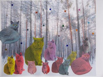 Rainbow British Shorthair Cats In Forest Christmas Card, 2 of 3