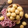 Vegetable Plants Patio Potato Four X 11cm Pots, thumbnail 1 of 8
