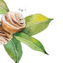 Botanical Cinnamon Roll Art Print, thumbnail 5 of 10