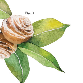 Botanical Cinnamon Roll Art Print, 5 of 10