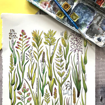 Grasses Of Britain Greeting Card, 2 of 7