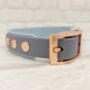 Waterproof Dog Collar And Lead Set Pastel Blue/Grey, thumbnail 2 of 2
