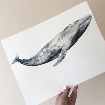 Blue Whale Watercolour Fine Art Print, 3 of 4
