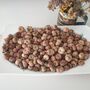 Dried Baby Pumpkin Autumn Potpourri Home Decoration Scented With Pumpkin Spice, thumbnail 8 of 10