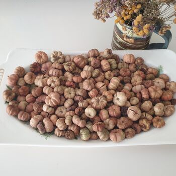 Dried Baby Pumpkin Autumn Potpourri Home Decoration Scented With Pumpkin Spice, 8 of 10