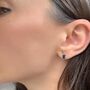 Sapphire Stud Earrings Sterling Silver Stocking Filler, thumbnail 1 of 3