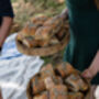 Foraging Experience Walk For Two In The South Downs, thumbnail 9 of 12