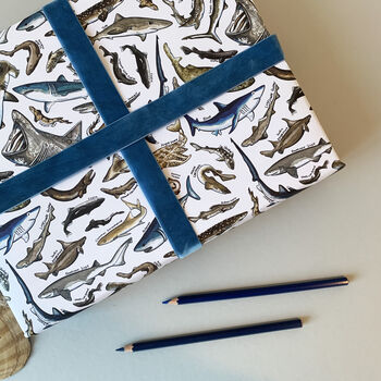 Sharks Species Wrapping Paper Set, 6 of 12