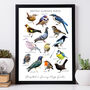 Personalised British Garden Birds Artwork, thumbnail 7 of 7