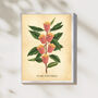 Popcorn Movie Poster Botanical Print, thumbnail 1 of 11