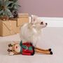 Elf And Reindeer Knitted Christmas Jumper For Dogs, thumbnail 9 of 9