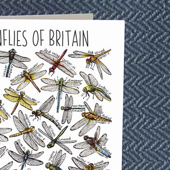 Dragonflies Of Britain Greeting Card, 5 of 7