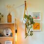 Macrame Hanging Accent Lamp With Filament Bulb, thumbnail 2 of 10