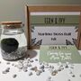 Marimo Moss Ball Kit Plant Lover Gift, thumbnail 8 of 12