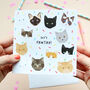 Cat Birthday Cards, thumbnail 1 of 6