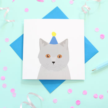 British Shorthair Cat, Birthday Card, 2 of 3