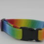 Rainbow Ombre Dog Collar, thumbnail 5 of 9