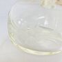 Antique Olive Oil / Vinegar Decorative Bottle ~ Four, thumbnail 4 of 7