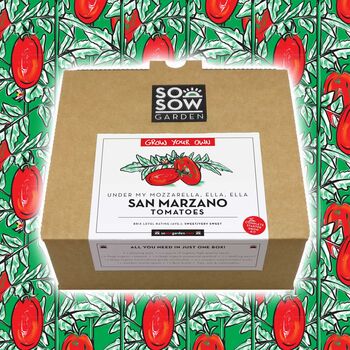 San Marzano Tomato Grow Your Own Kit, 2 of 9