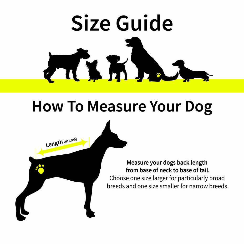 how do you measure a dogs back