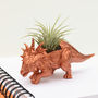 Hand Painted Styracosaurus Dinosaur Planter With Plant, thumbnail 1 of 12