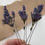 Dried Lavender Flower Hair Pins, thumbnail 3 of 8