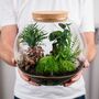 Large Globe Terrarium Kit With Bonsai | 'Portland', thumbnail 1 of 10