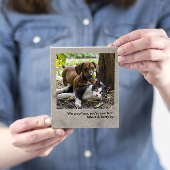 Personalised Pet Photo Print On Concrete, 5 of 6