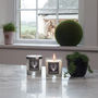 Luxury Valentines Gin And Candle Box Award Winner, thumbnail 2 of 8