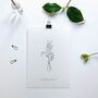 ‘Forget Me Not’ Spring Flower Botanical Art Print, thumbnail 2 of 3