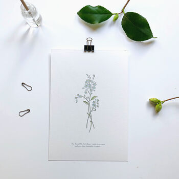 ‘Forget Me Not’ Spring Flower Botanical Art Print, 2 of 3