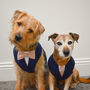 Navy And Pink Dog Wedding Suit, thumbnail 3 of 9