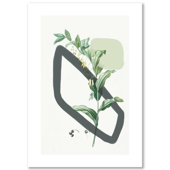 Vintage Plants With Shapes Art Print, 5 of 6