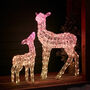 Twinkly Smart LED Outdoor Christmas Doe And Fawn, thumbnail 3 of 12